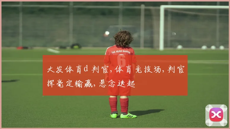 大发体育d 判官,体育竞技场,判官挥毫定输赢,悬念迭起