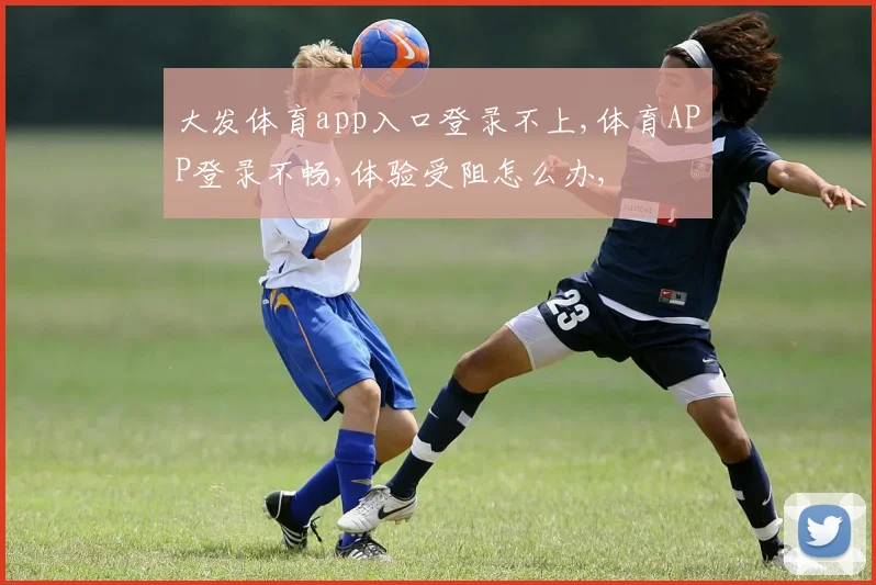 大发体育app入口登录不上,体育APP登录不畅,体验受阻怎么办,