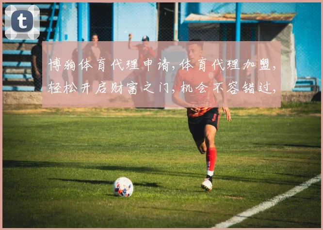 博狗体育代理申请,体育代理加盟,轻松开启财富之门,机会不容错过,立即咨询
